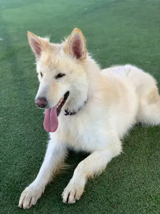 Mia