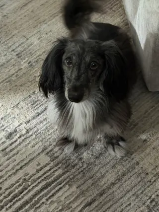 Frank5