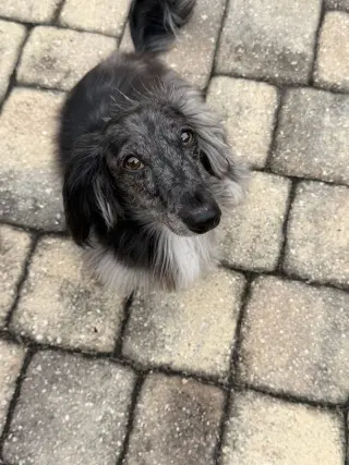Frank5