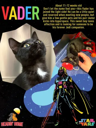 Vader