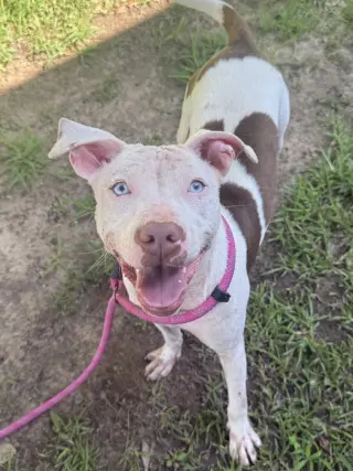 Coco- look at those baby blues