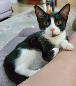 Minnie