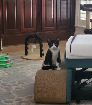 Minnie