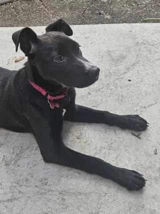 Cleo