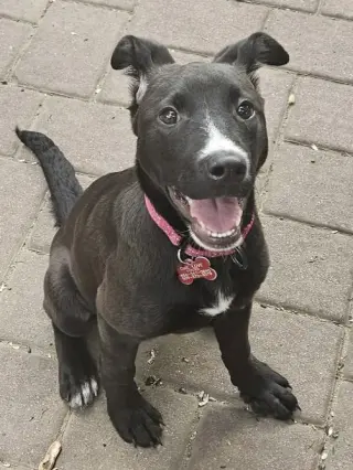 Cleo