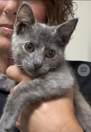 Jill (MUST BE ADOPTED W JENNA)