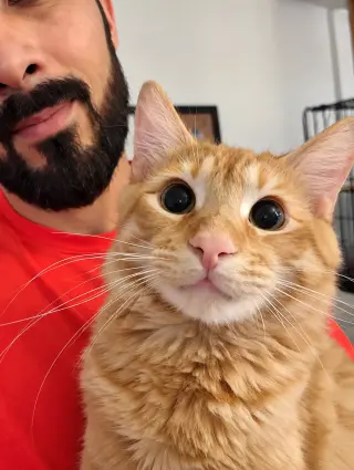 Newman ( Kat)