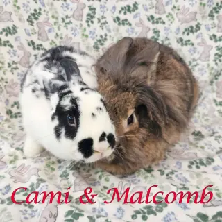 Cami (bonded to Malcomb)