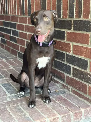 Savannah