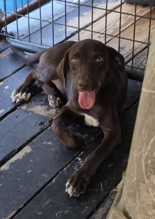 Savannah