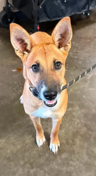 Kira