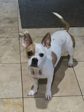 Coco