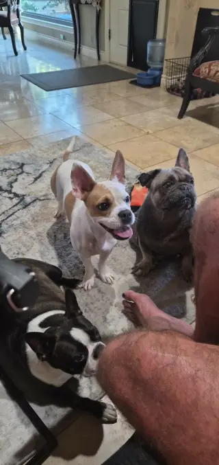 Coco