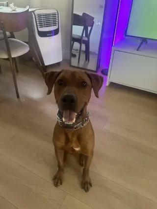 Mack