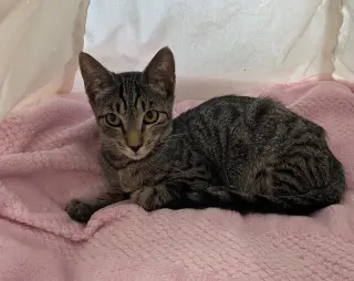 HIDE & SEEK