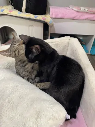 HIDE & SEEK