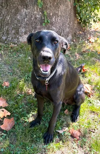 Marcie
