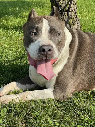 Nikko