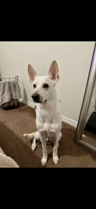 Lucy