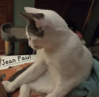 Jean Paul