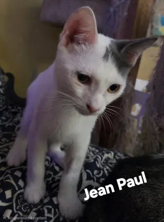 Jean Paul