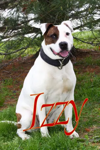 Izzy