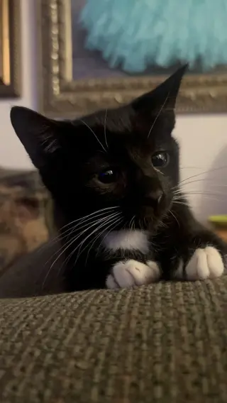 Luke Skywhisker
