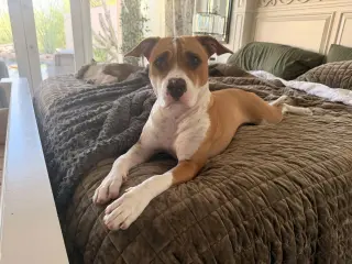 Georgia