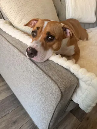 Georgia