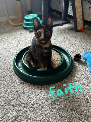 Faith