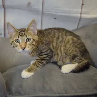 Derpy