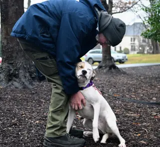 Buster - ADOPTED!