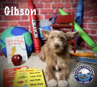 Gibson