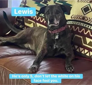Lewis (in New England)