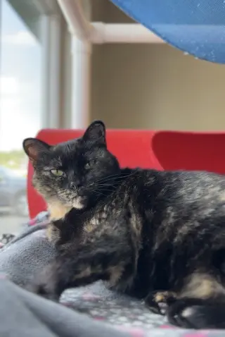 Pretty Mama