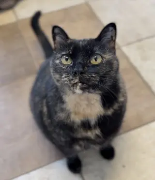Pretty Mama