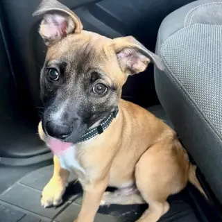 Jack