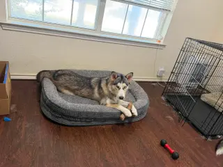 Shiloh