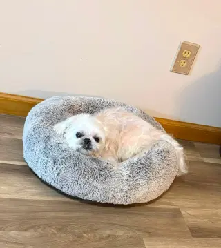 Maggie