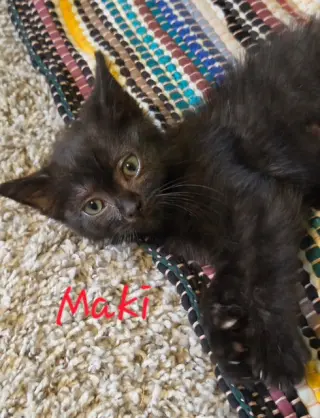 Maki