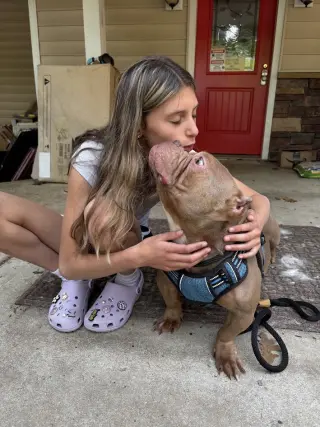 Porkchop