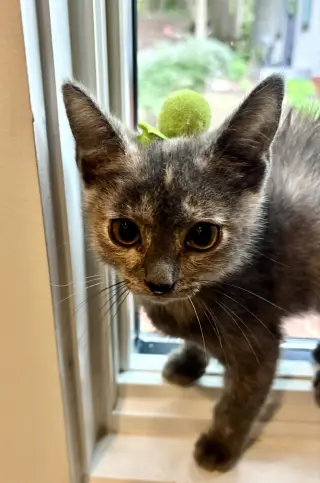 Eleanor