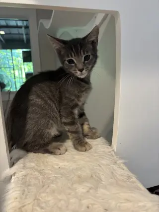 Theodore