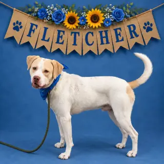 Fletcher