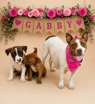 Gabby