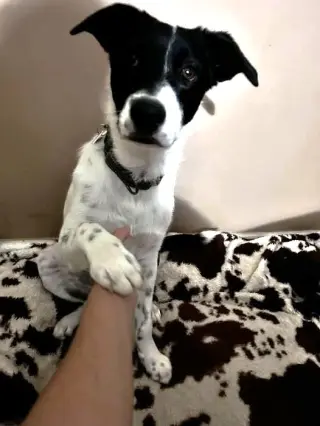 Danny