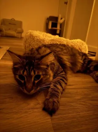 Oliver (Billie)