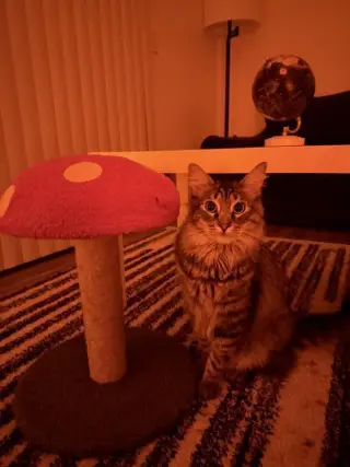 Oliver (Billie)