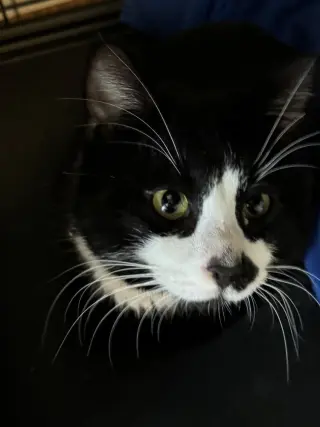 Tux