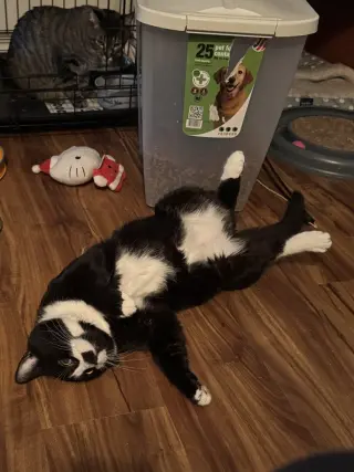 Tux